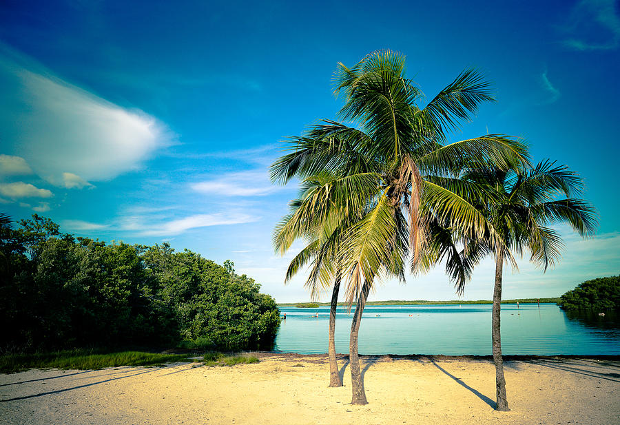 Lagoon Beach In The Florida Keys Photograph by Thepalmer