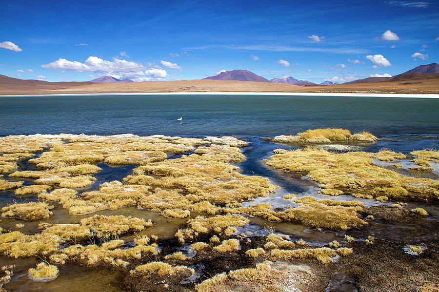 Lagoon Uyuni Photograph by Www.for91days.com Lagoon Uyuni Photograph by Www.for91days.com