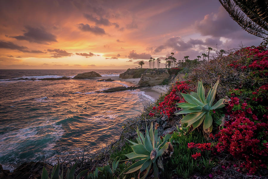 Laguna Beach After Storm Photograph by Jay Cruise - Fine Art America