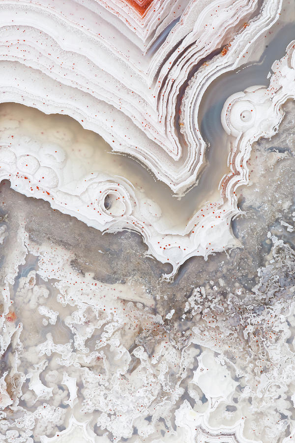 Laguna Lace Agate Detail Photograph by Mark Windom