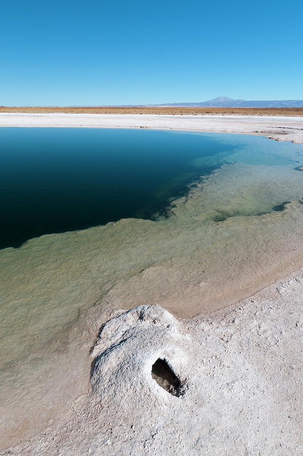 Laguna Sejar, Salar De Atacama, Atacama Desert, Chile Digital Art by ...