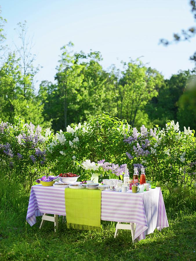 Laid Table In Front Of Lilac Bushes In Garden Photograph by Persson ...
