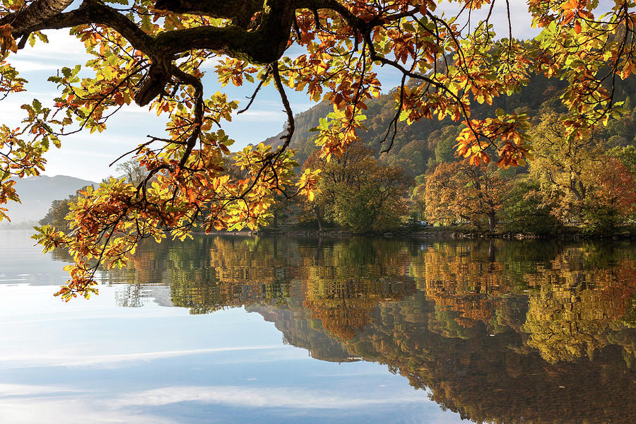 Lake & Trees With Autumn Colors Photograph by Sebastian Wasek