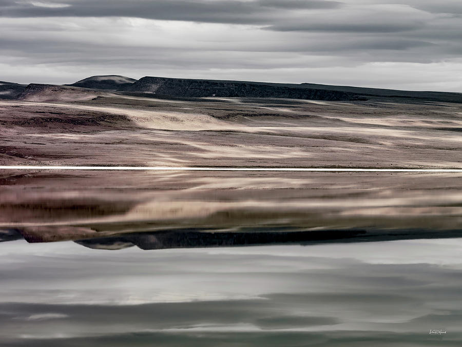 Lake Abert Textures Photograph by Leland D Howard