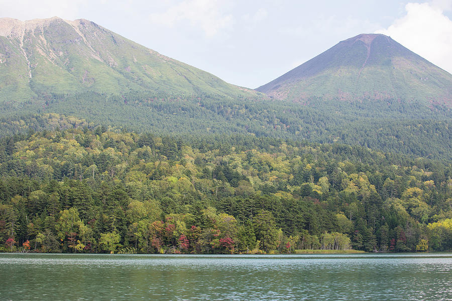 Tree Photograph - Lake Akan, Hokkaido, Japan by Jess McGlothlin Media