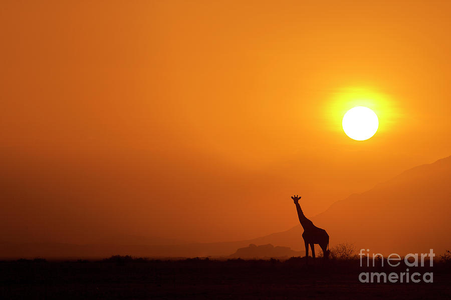 Lake Amboseli Sunset Photograph by Mario Moreno / 500px