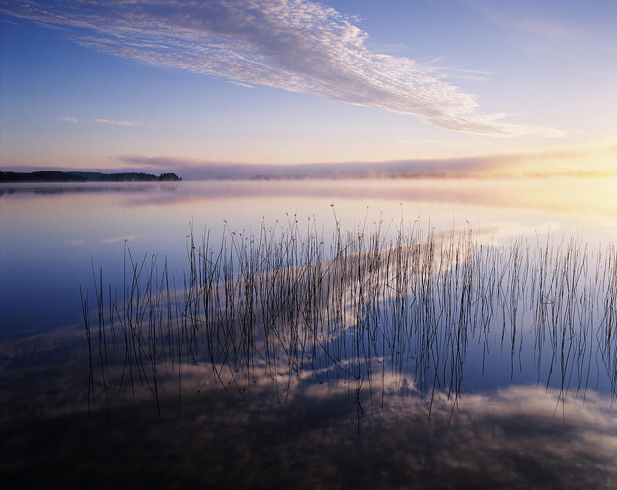 Lake And Clouds In Morning Light, Sweden by Roine Magnusson