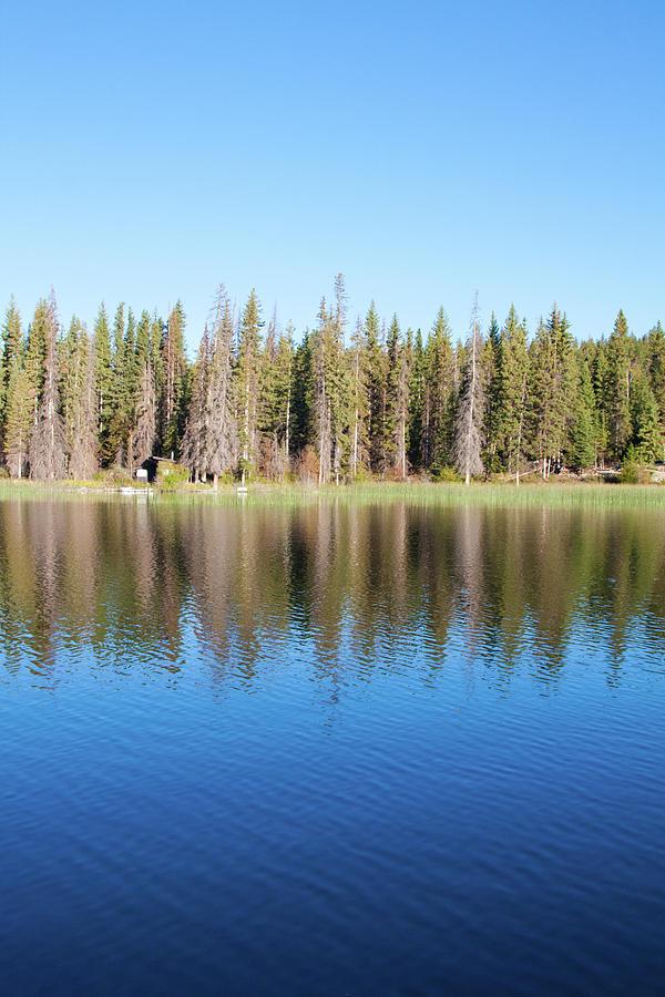 Lake And Forest Photograph by Christopher Kimmel