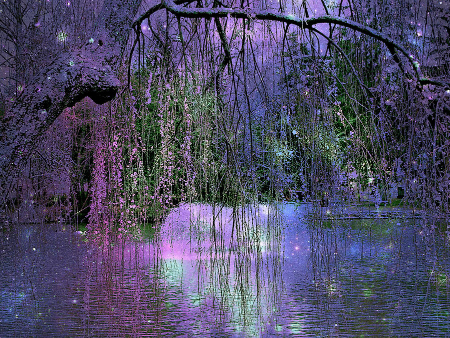 Lake And Fountain Wonderland Photograph