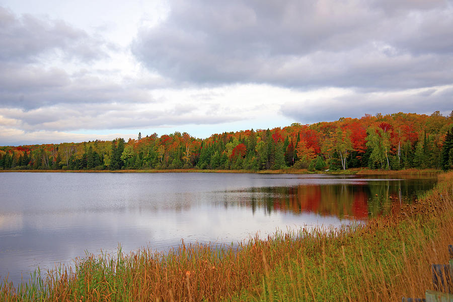 Lake Anne Louise in the Fall Photograph by Linda Kerkau - Fine Art America