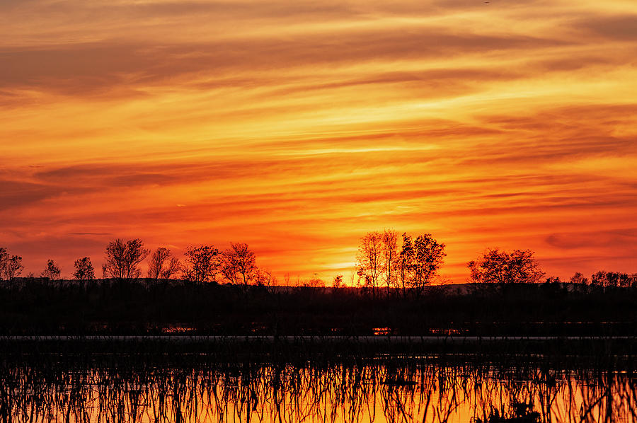 Lake Apopka Sunset Photograph by Gene Bollig