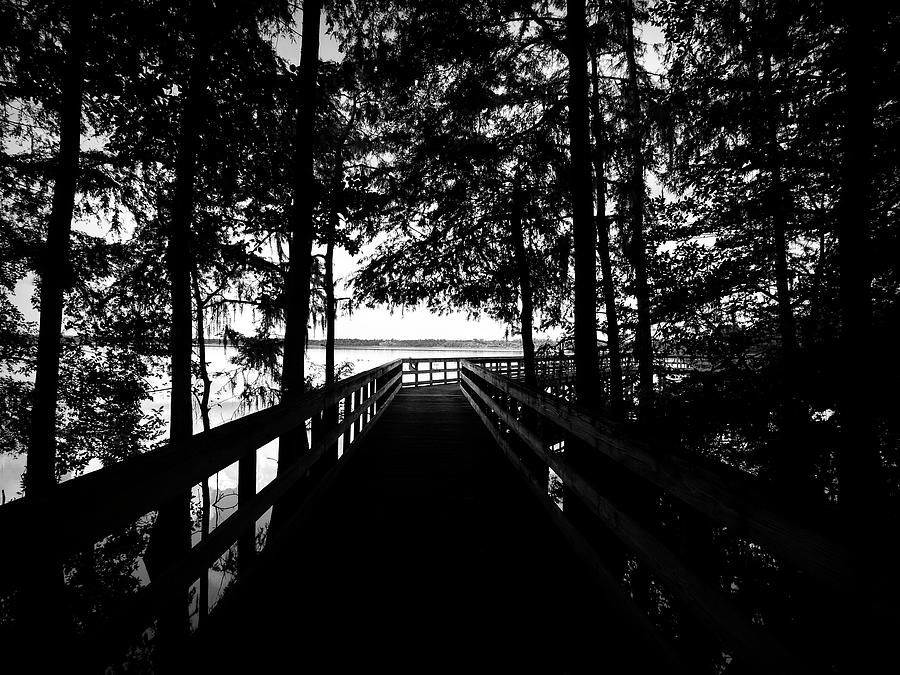 Lake Ashby Boardwalk Photograph by Robert Stanhope