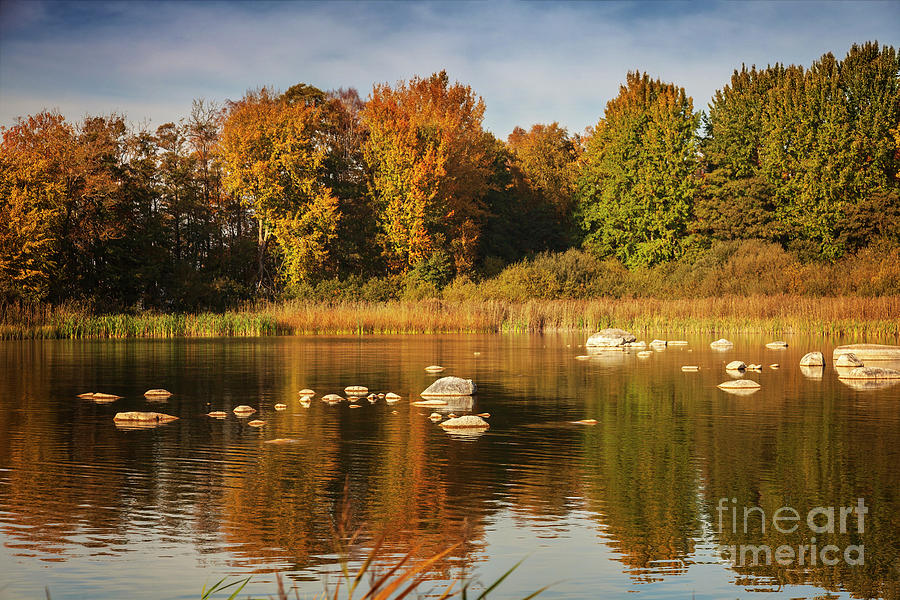 Lake at autumn Photograph by Sophie McAulay