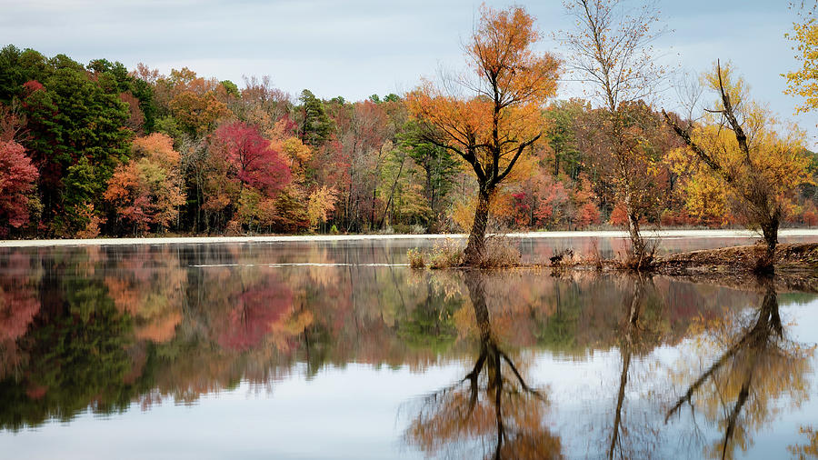 Lake Bailey Treeline Photograph by James Barber
