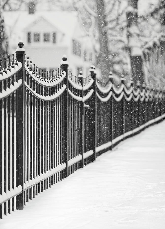 Lake Bluff Illinois, Iron Fence Covered Photograph by Trina Dopp Photography