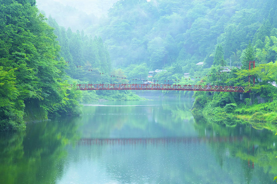 Lake Bridge In Fog Photograph By Noriyuki Araki Fine Art America