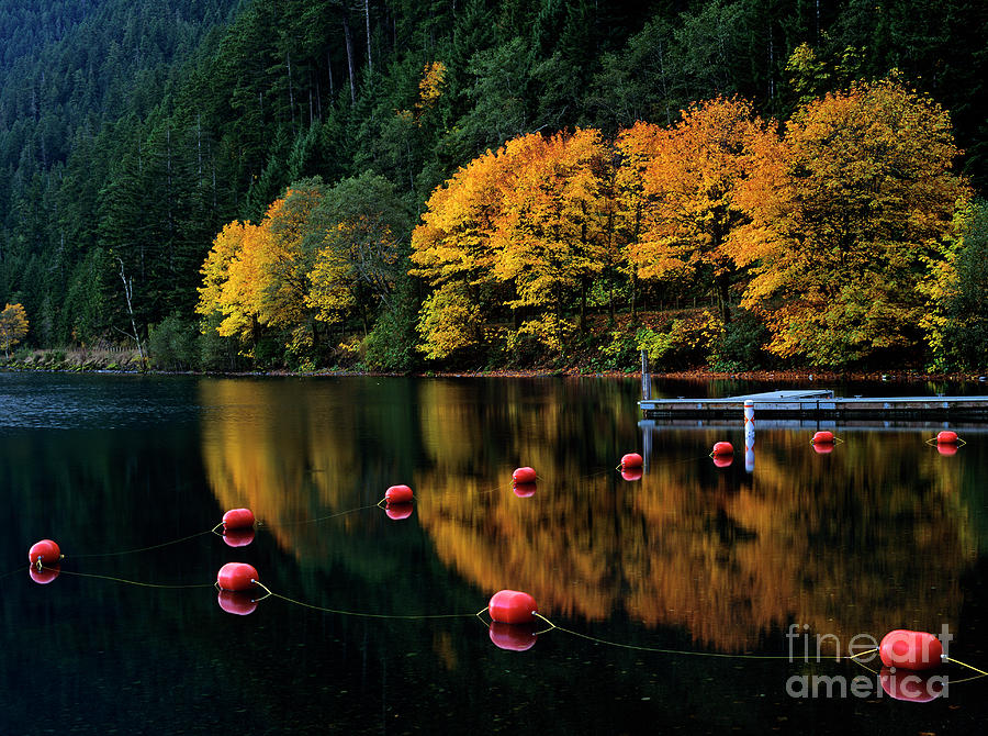 Lake Crescent Sunrise With Autumn Colors Photograph by Jim Corwin