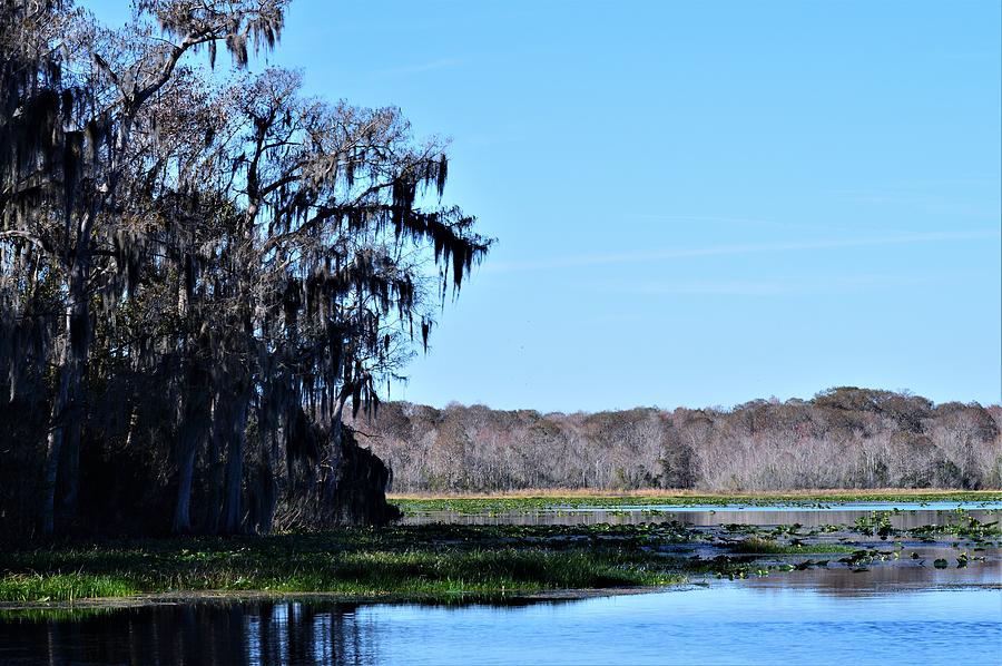 Lake Eaton In The Ocala National Forest Photograph