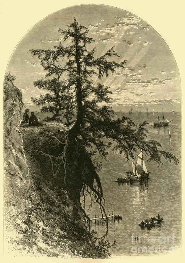 Lake Erie Drawing by Print Collector