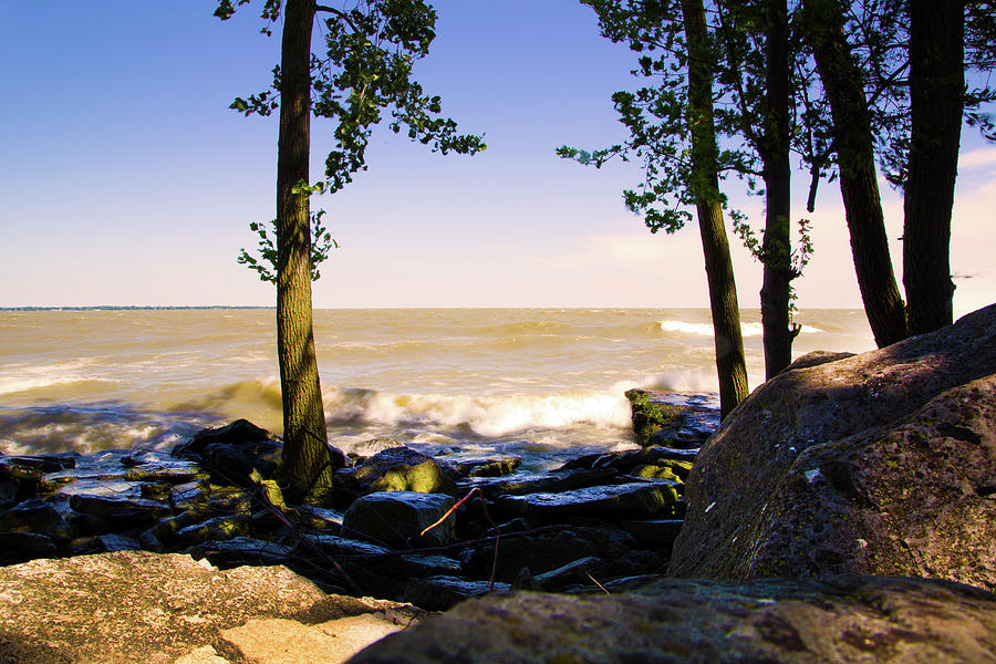 Lake Erie Springtime. Photograph by Pheasant Run Gallery