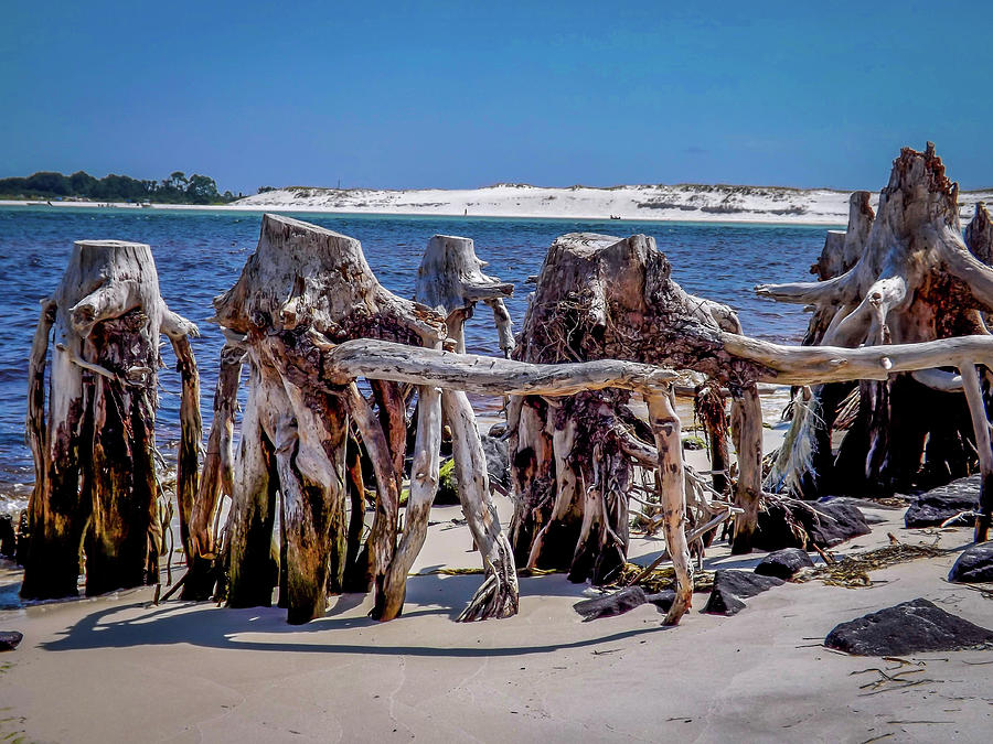 Lake Frederick Photograph by Sam Nettles - Fine Art America