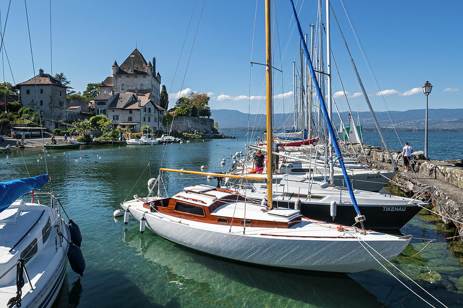Lake Geneva Photograph by Arterra Picture Library