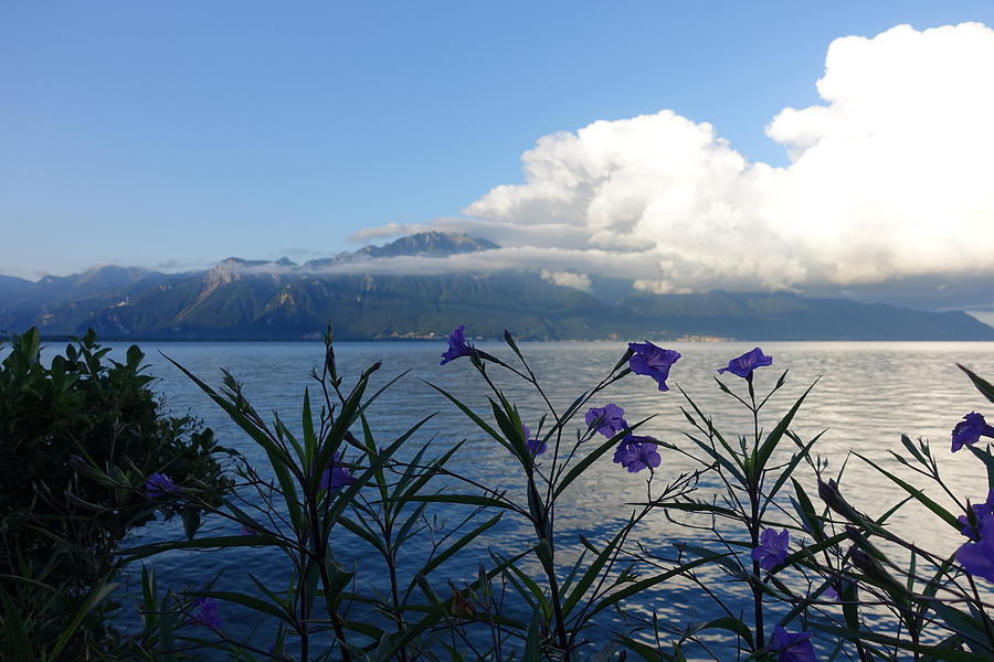 Lake Geneva from Montreux Promenade Photograph by Patricia Caron