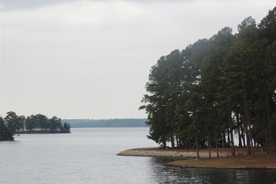 Nature Photograph - Lake Hartwell by Cathy Lindsey