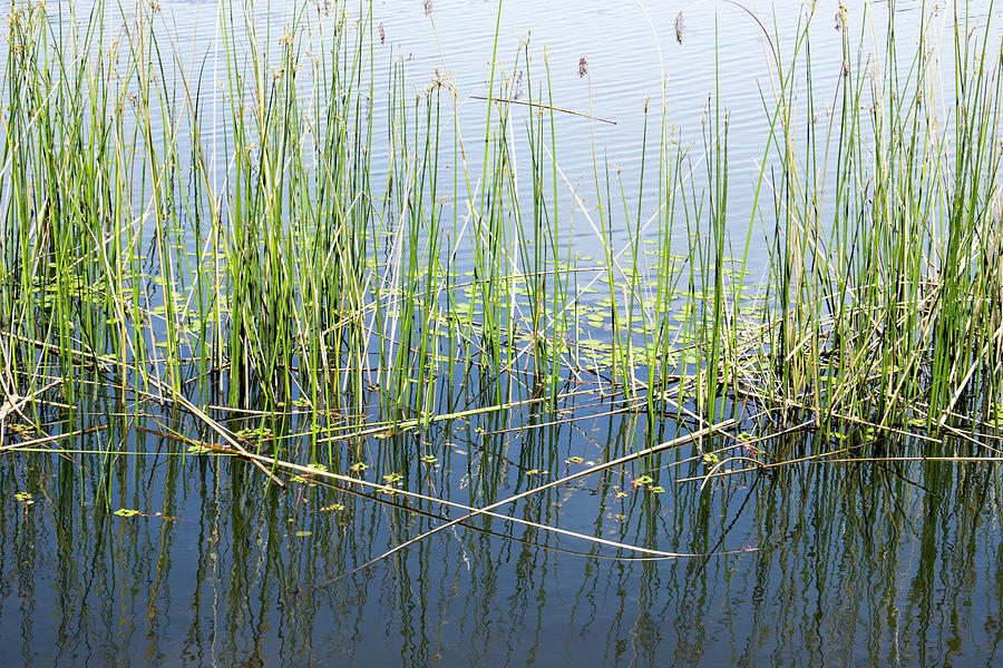 Lake Ilsanjo_533_18 by Tari Kerss Lake Ilsanjo_533_18 by Tari Kerss