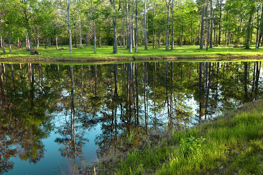 Lake In Texas Surrounded By Trees Photograph by Fstop123