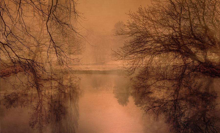 Tree Photograph - Lake In Winter by Isabelle Dupont