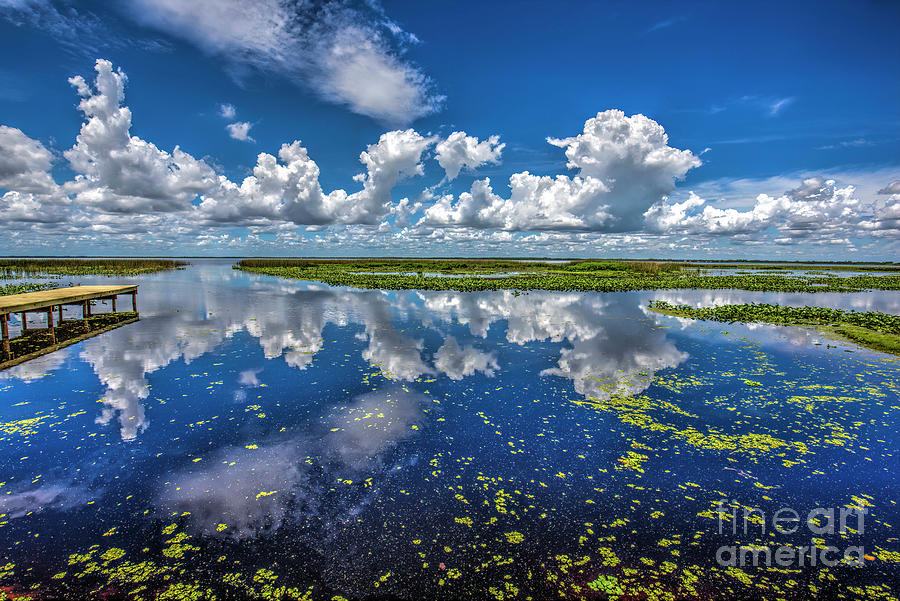 Lake Istokpoga, Florida Photograph by Felix Lai