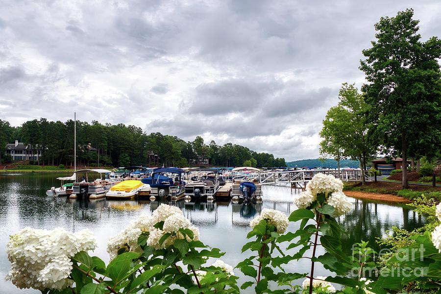 Lake Keowee Flowers and Boats by Amy Dundon Lake Keowee Flowers and Boats by Amy Dundon