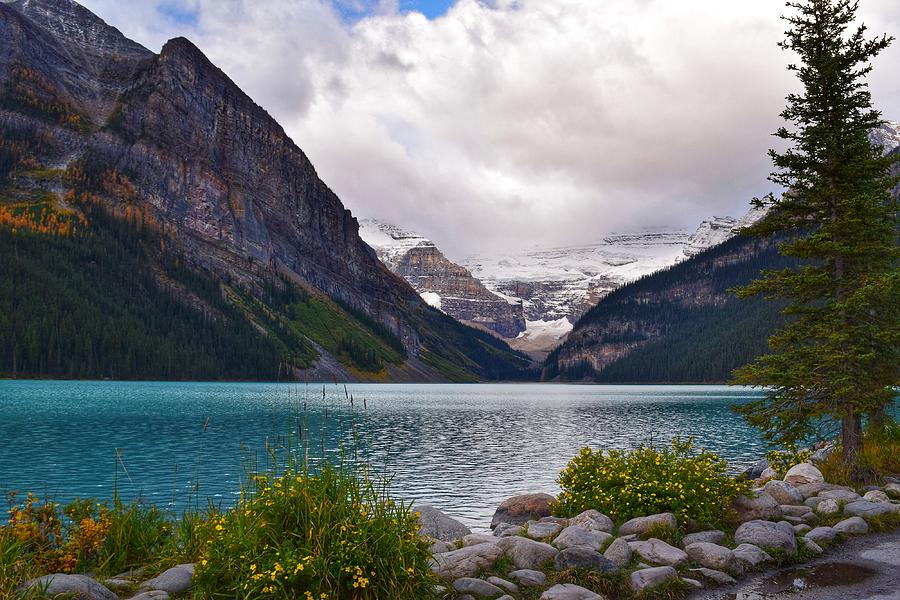 Lake Louise Photograph By Dana Hardy - Fine Art America