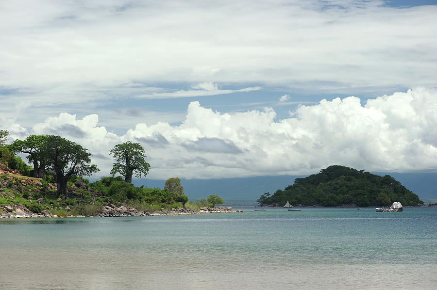 Lake Malawi And Baobab Trees Photograph by Christophe cerisier