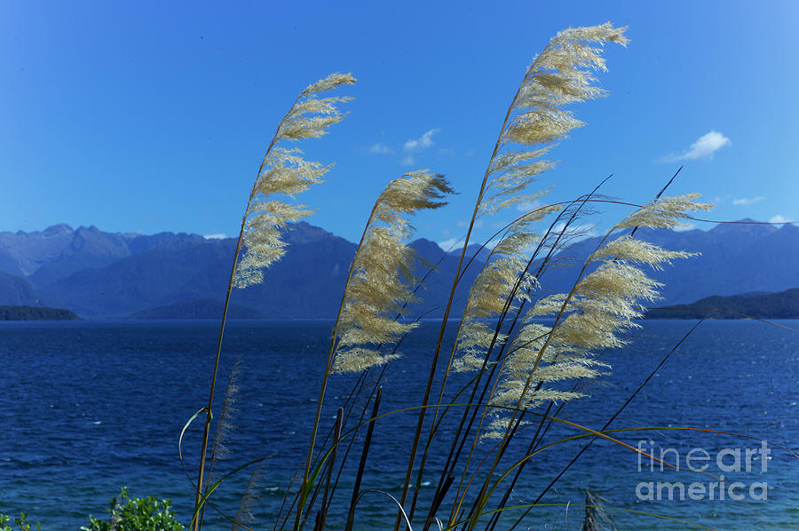 Lake Manapouri New Zealand South Island Photograph