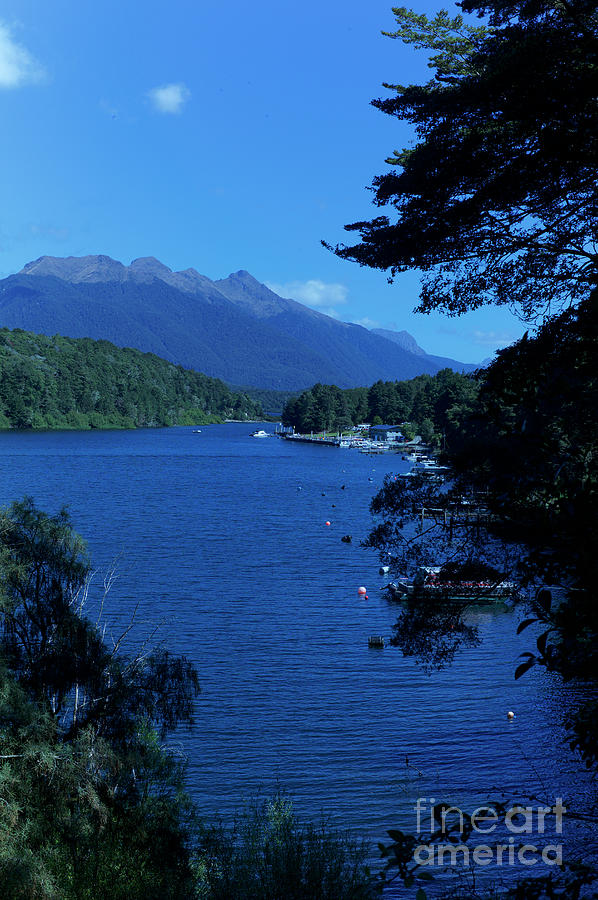 lake Manapouri view from the home creek, New Zealand Photograph