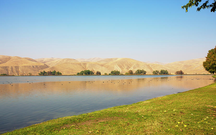 Lake Ming In Bakersfield On A Warm Photograph by Lpettet