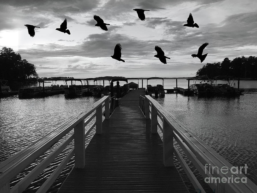 Surreal Lake Murray South Carolina Black White Haunting Spooky Lake Scene Flying Ravens Digital Art by Kathy Fornal