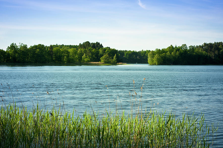 Lake Panorama Photograph by Bosca78