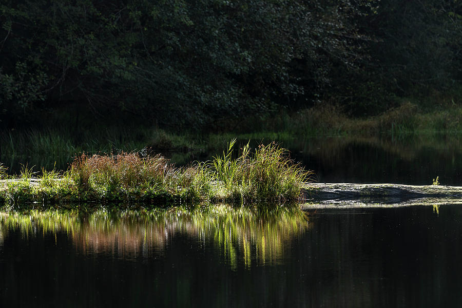 Lake Reflection Photograph by Robert Potts