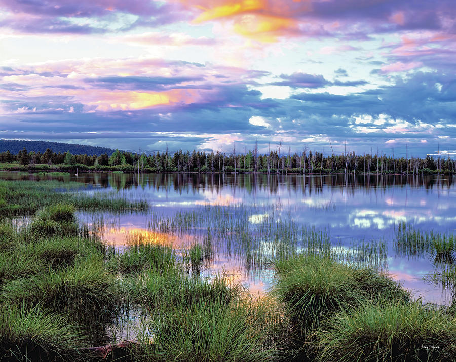 Nature Photograph - Lake Reflections by Leland D Howard
