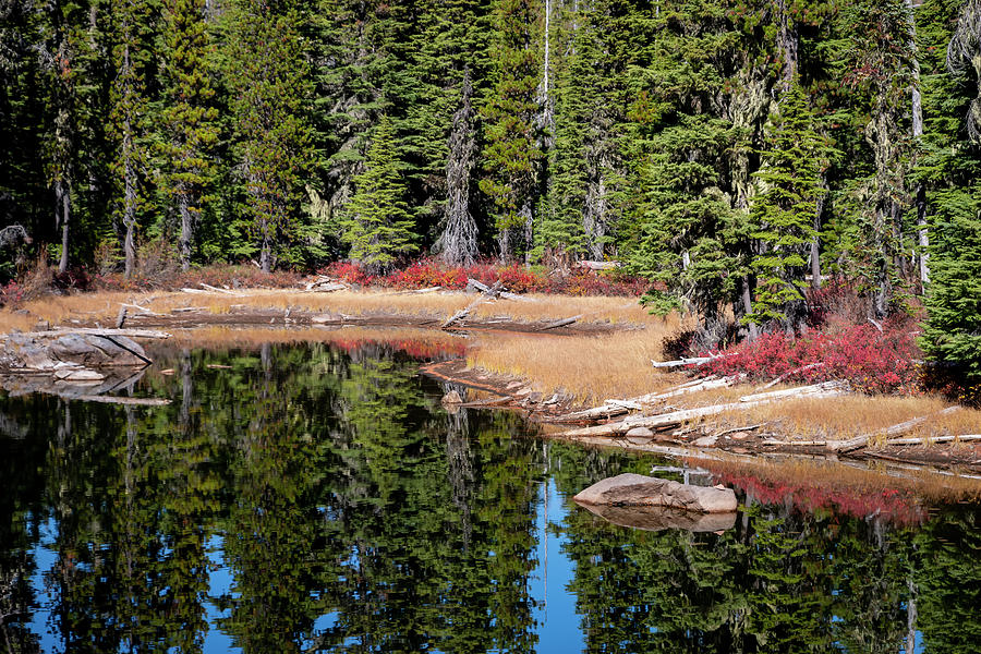 Lake Reflections Photograph by Steven Clark