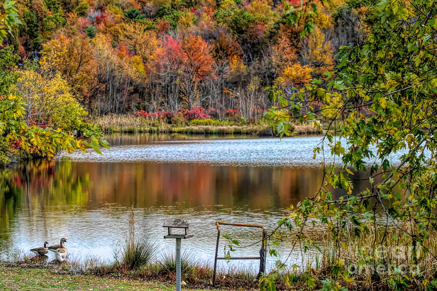 Lake Side Fall Leaves Seasons  Photograph by Chuck Kuhn