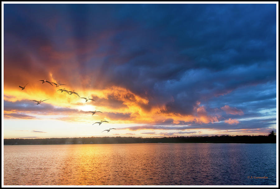 Lake Sunset, Flying Cormorants, Pocono Mountains, Pennsylvania Photograph by A Macarthur Gurmankin