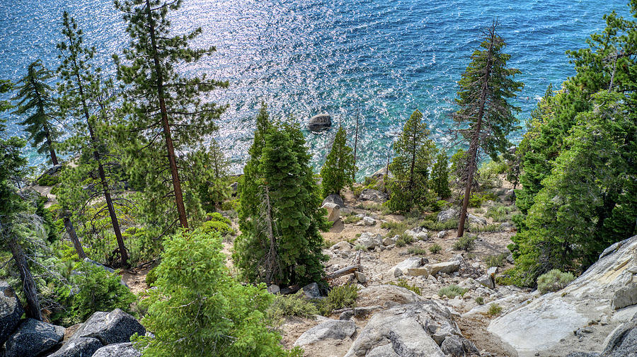 Lake Tahoe Chimney Beach Trees Photograph by Anthony Giammarino