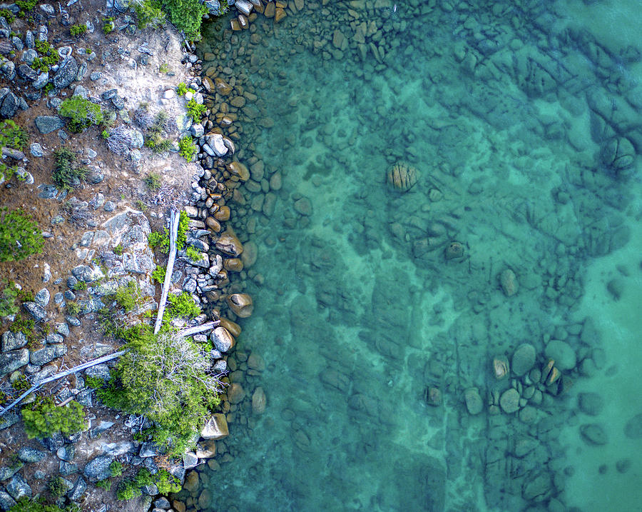Lake Tahoe Clear Water Shoreline Photograph by Anthony Giammarino