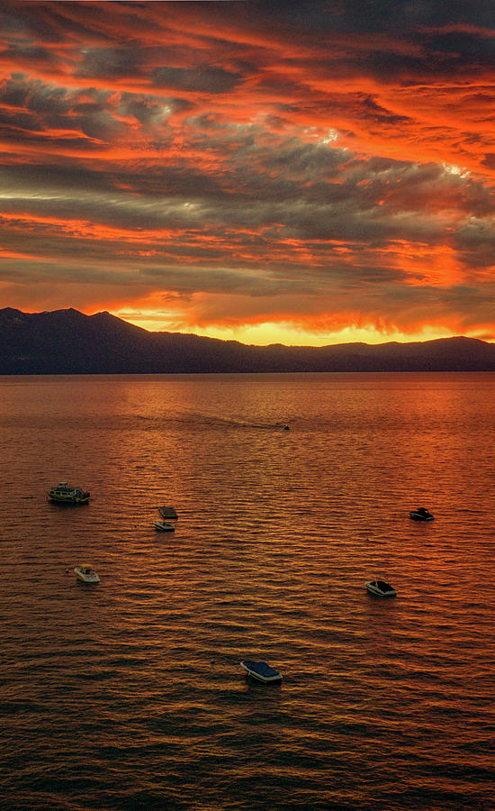 Lake Tahoe Cotton Candy Sunset  Photograph by Anthony Giammarino