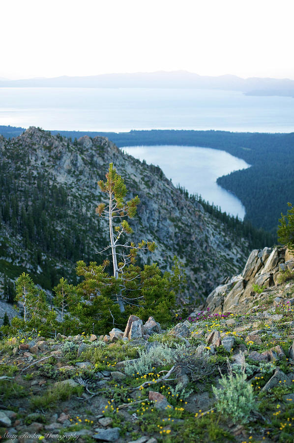 Lake Tahoe Paradise Photograph