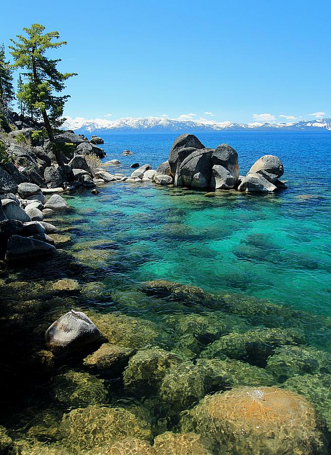 Lake Tahoe Spring Portrait Photograph by Sean Sarsfield